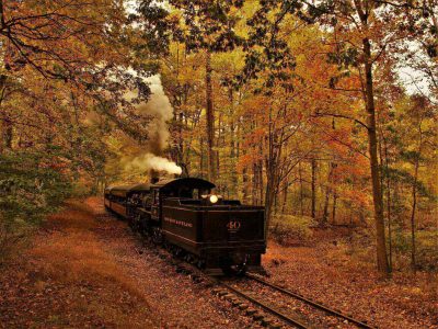 Fall-Excursion-Header-qdrkkxp45dnx2n7bi5dlmdnrdffguz1p917k9uns1k.jpg